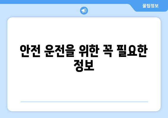 안전 운전을 위한 꼭 필요한 정보