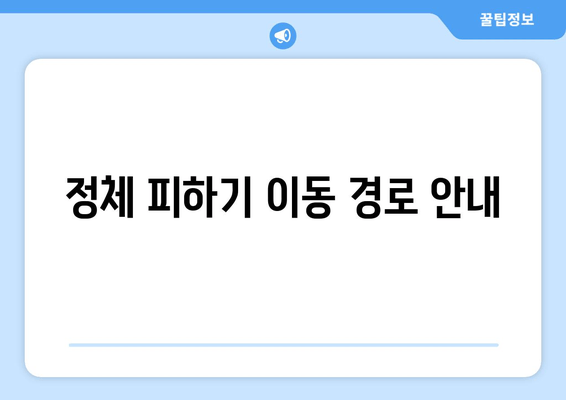 정체 피하기 이동 경로 안내