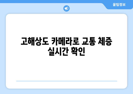 고해상도 카메라로 교통 체증 실시간 확인