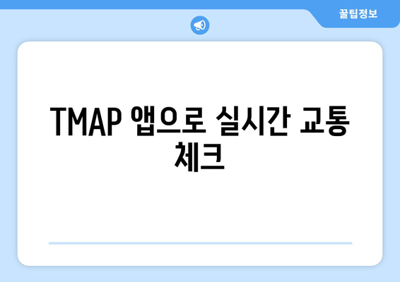 TMAP 앱으로 실시간 교통 체크