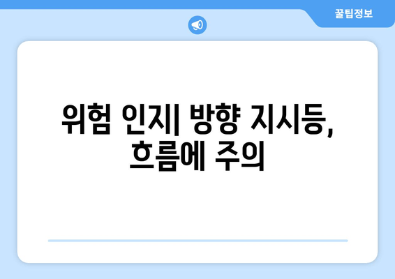 위험 인지| 방향 지시등, 흐름에 주의