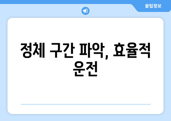 정체 구간 파악, 효율적 운전