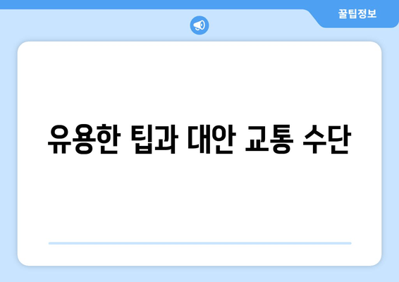 유용한 팁과 대안 교통 수단