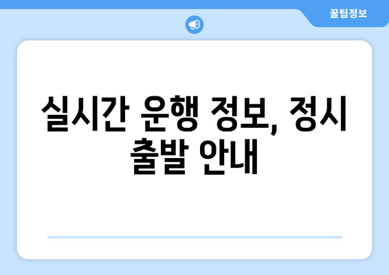 실시간 운행 정보, 정시 출발 안내