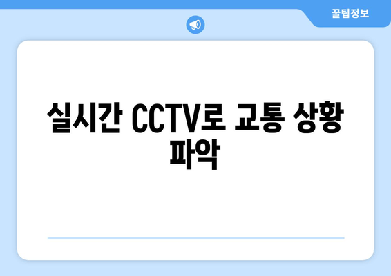 실시간 CCTV로 교통 상황 파악