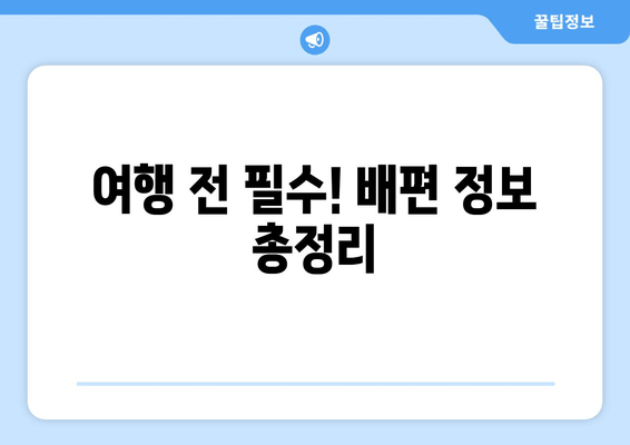 여행 전 필수! 배편 정보 총정리