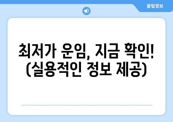 최저가 운임, 지금 확인! (실용적인 정보 제공)