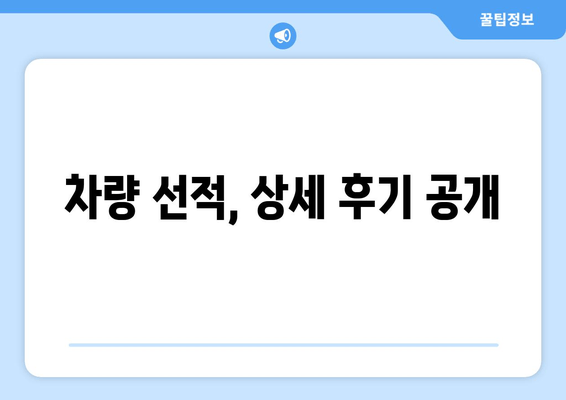 차량 선적, 상세 후기 공개