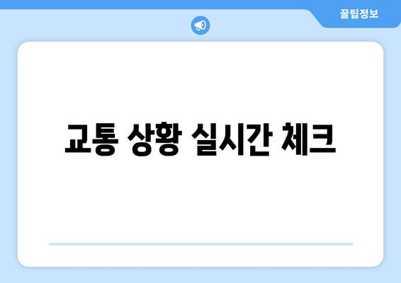 교통 상황 실시간 체크