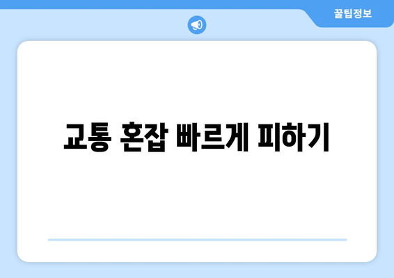 교통 혼잡 빠르게 피하기