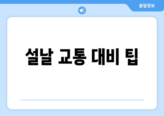 설날 교통 대비 팁