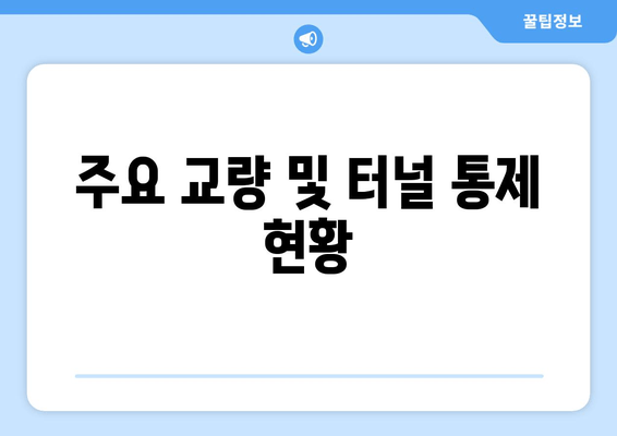 주요 교량 및 터널 통제 현황