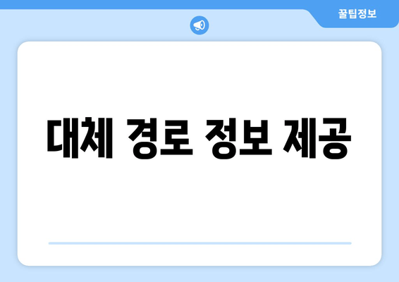 대체 경로 정보 제공