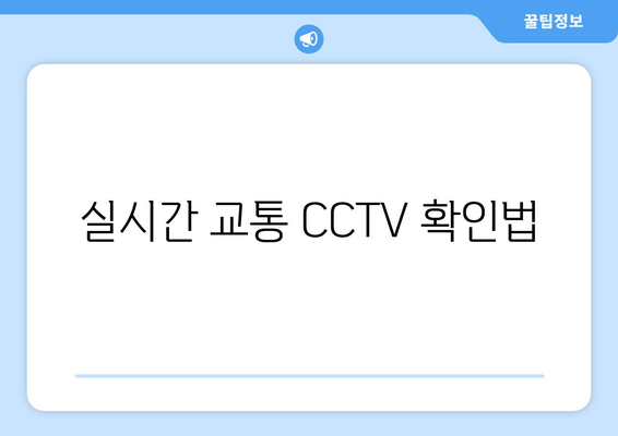 실시간 교통 CCTV 확인법