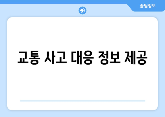 교통 사고 대응 정보 제공