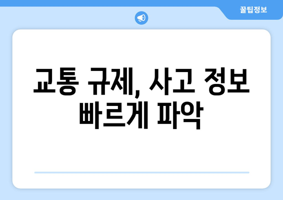 교통 규제, 사고 정보 빠르게 파악