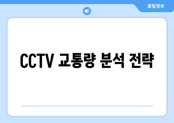 CCTV 교통량 분석 전략