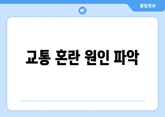 교통 혼란 원인 파악