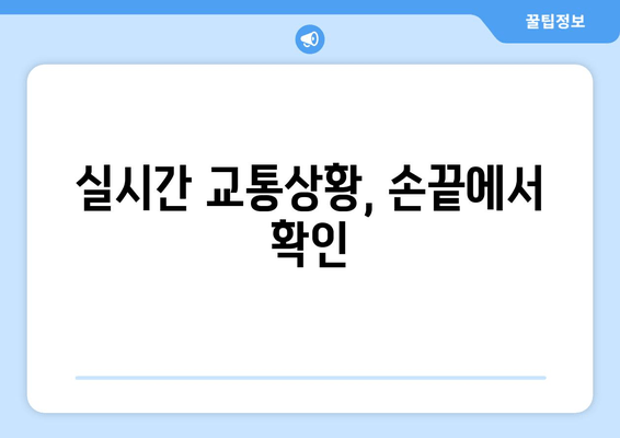 실시간 교통상황, 손끝에서 확인