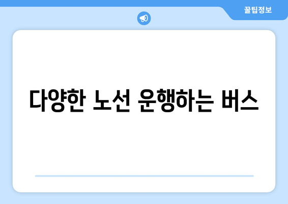 다양한 노선 운행하는 버스