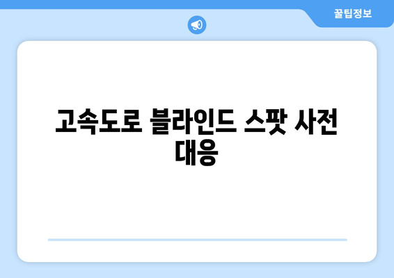 고속도로 블라인드 스팟 사전 대응