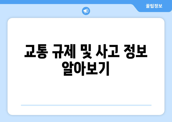 교통 규제 및 사고 정보 알아보기