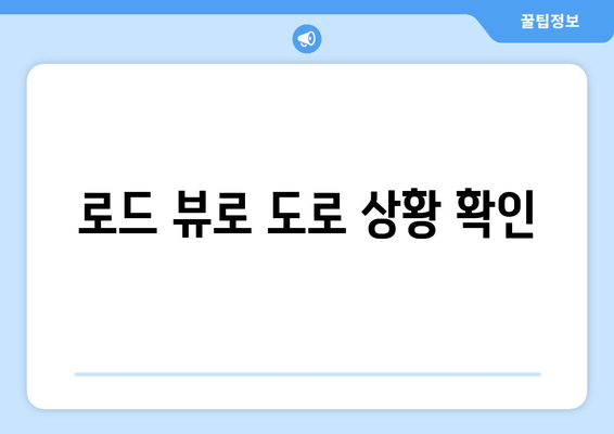 로드 뷰로 도로 상황 확인