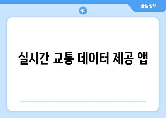 실시간 교통 데이터 제공 앱