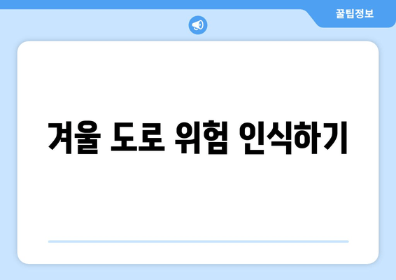 겨울 도로 위험 인식하기