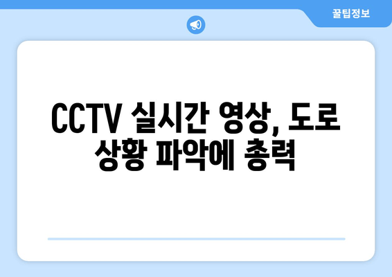 CCTV 실시간 영상, 도로 상황 파악에 총력