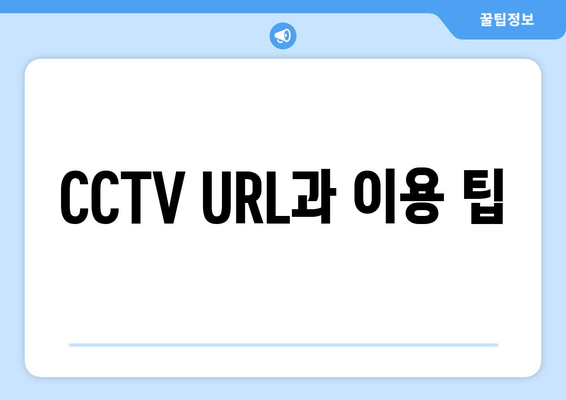 CCTV URL과 이용 팁