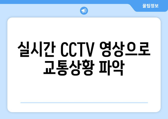 실시간 CCTV 영상으로 교통상황 파악