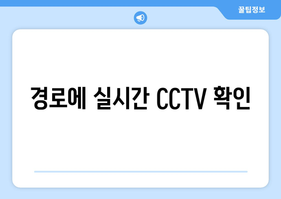 경로에 실시간 CCTV 확인