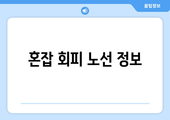 혼잡 회피 노선 정보