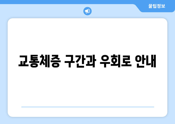 교통체증 구간과 우회로 안내