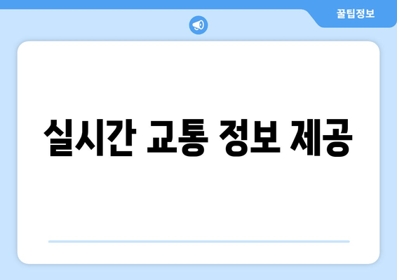 실시간 교통 정보 제공