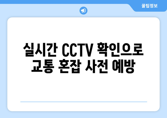 실시간 CCTV 확인으로 교통 혼잡 사전 예방