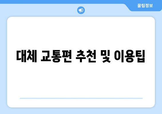 대체 교통편 추천 및 이용팁