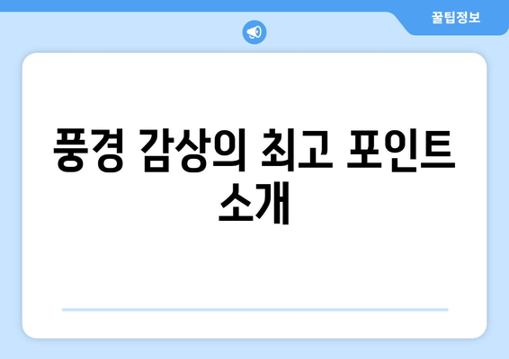 풍경 감상의 최고 포인트 소개