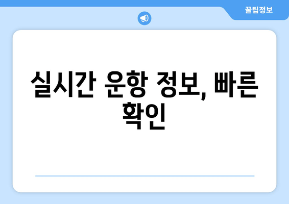 실시간 운항 정보, 빠른 확인