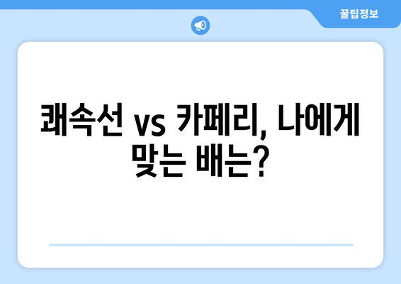 쾌속선 vs 카페리, 나에게 맞는 배는?