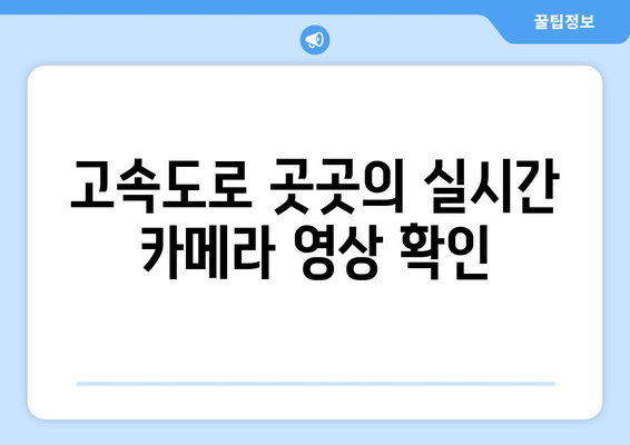 고속도로 곳곳의 실시간 카메라 영상 확인