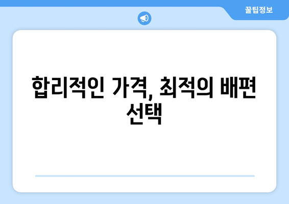 합리적인 가격, 최적의 배편 선택