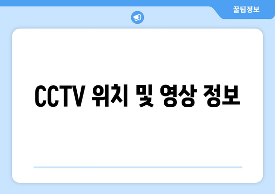 CCTV 위치 및 영상 정보