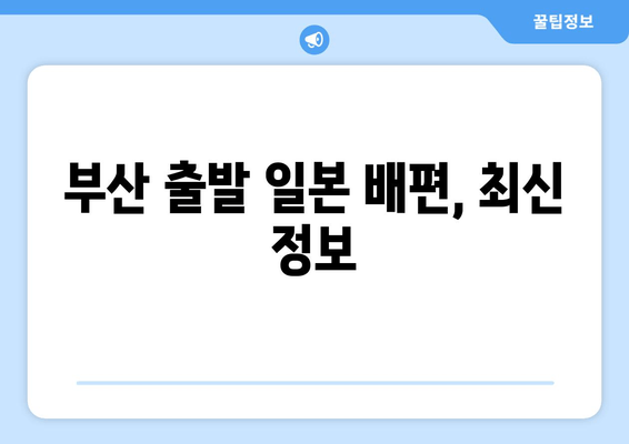 부산 출발 일본 배편, 최신 정보