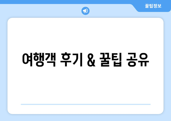 여행객 후기 & 꿀팁 공유