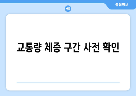 교통량 체증 구간 사전 확인