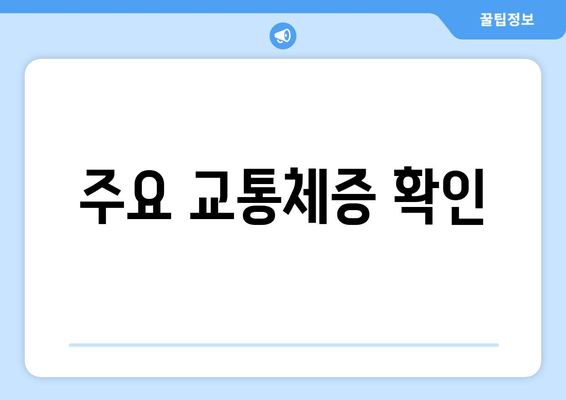 주요 교통체증 확인