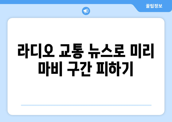 라디오 교통 뉴스로 미리 마비 구간 피하기