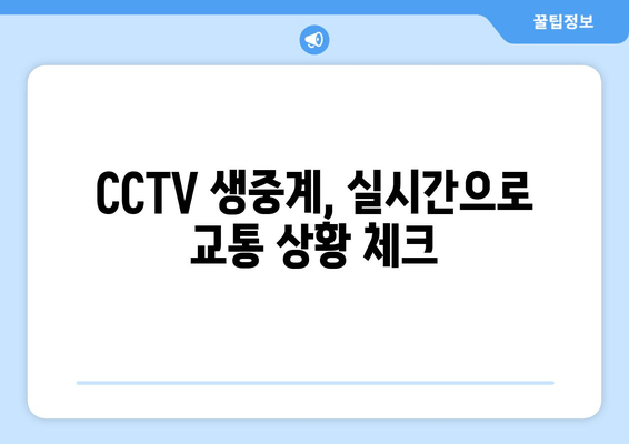 CCTV 생중계, 실시간으로 교통 상황 체크